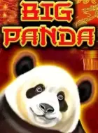 Miniature du jeu de slot Big Panda.