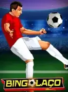 Miniature du jeu de bingo Bingolaço