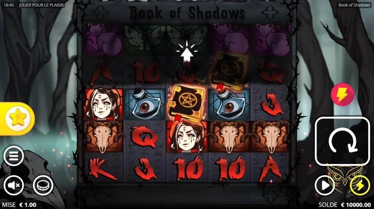 Capture d'écran 1 du jeu Book of Shadows