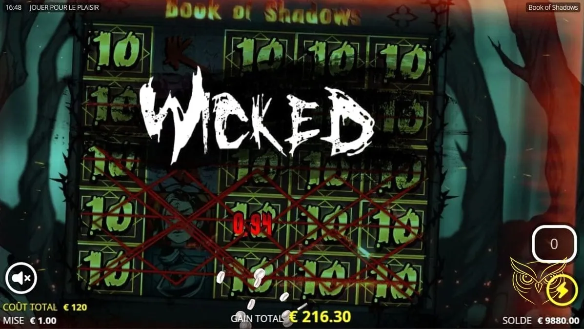 Capture d'écran 3 du jeu Book of Shadows