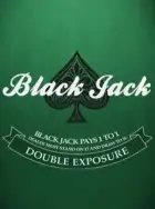 Miniature du jeu de blackjack Double Exposure MH