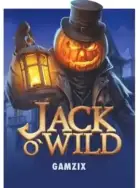 Miniature du jeu de slot Jack O'Wild