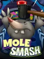 Miniature du jeu de slot Mole Smash