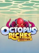 Miniature du jeu de slot Octopus Riches.