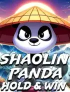 Miniature du slot Shaolin Panda: Hold & Win