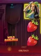 Miniature du jeu de slot Wild Darlings