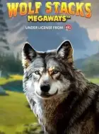 Miniature de la machine à sous Wolf Stacks Megaways.